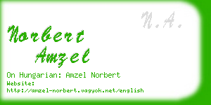 norbert amzel business card